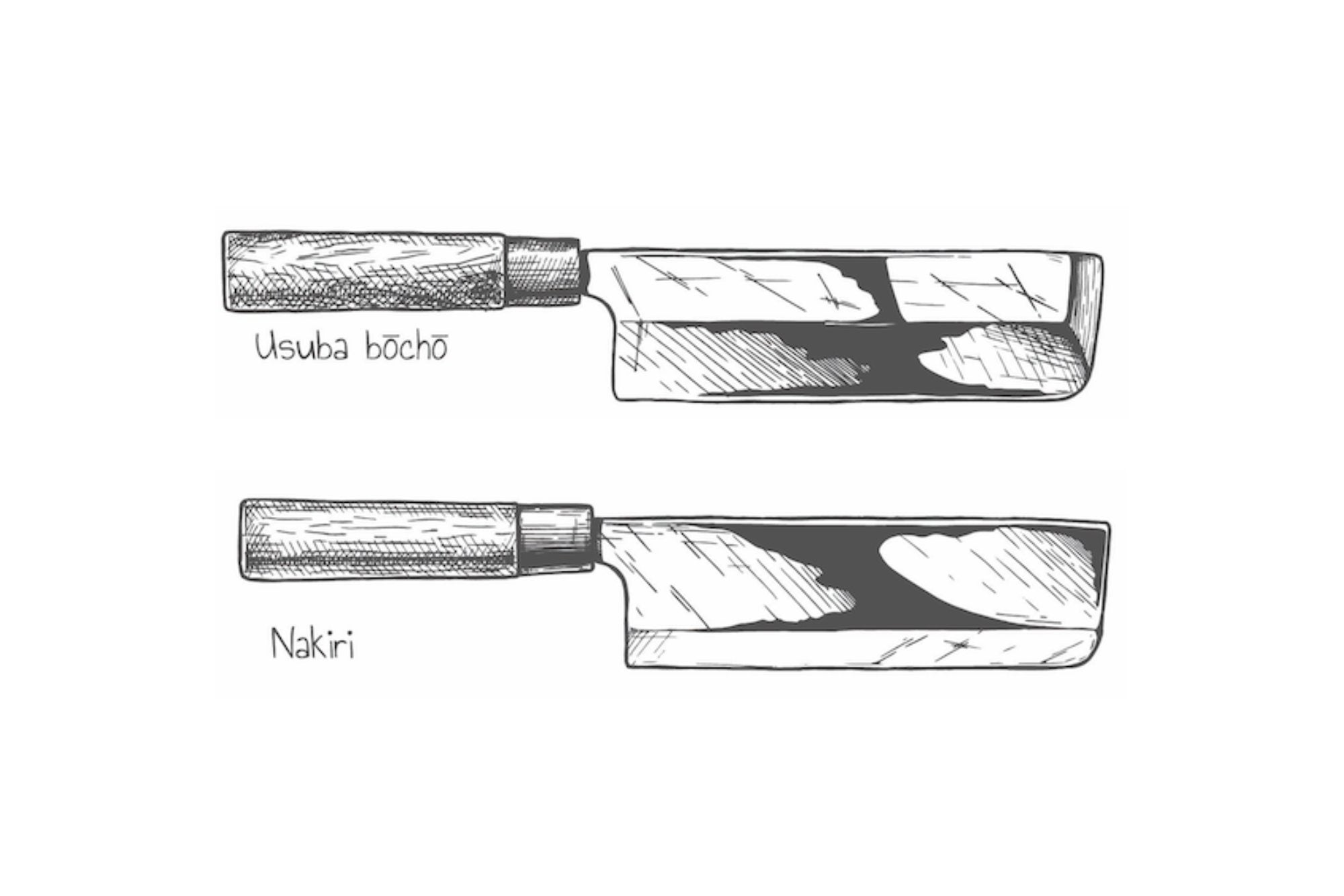 USUBA vs Nakiri Quelles sont les différences? santokuknives