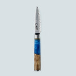 Coltello Aiko in Acciaio Damasco Blu con Manico in Resina Color Blu